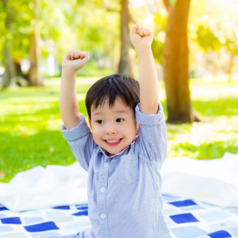 Portrait Cheerful Handsome Little Boy. Preschool Child Or Toddle