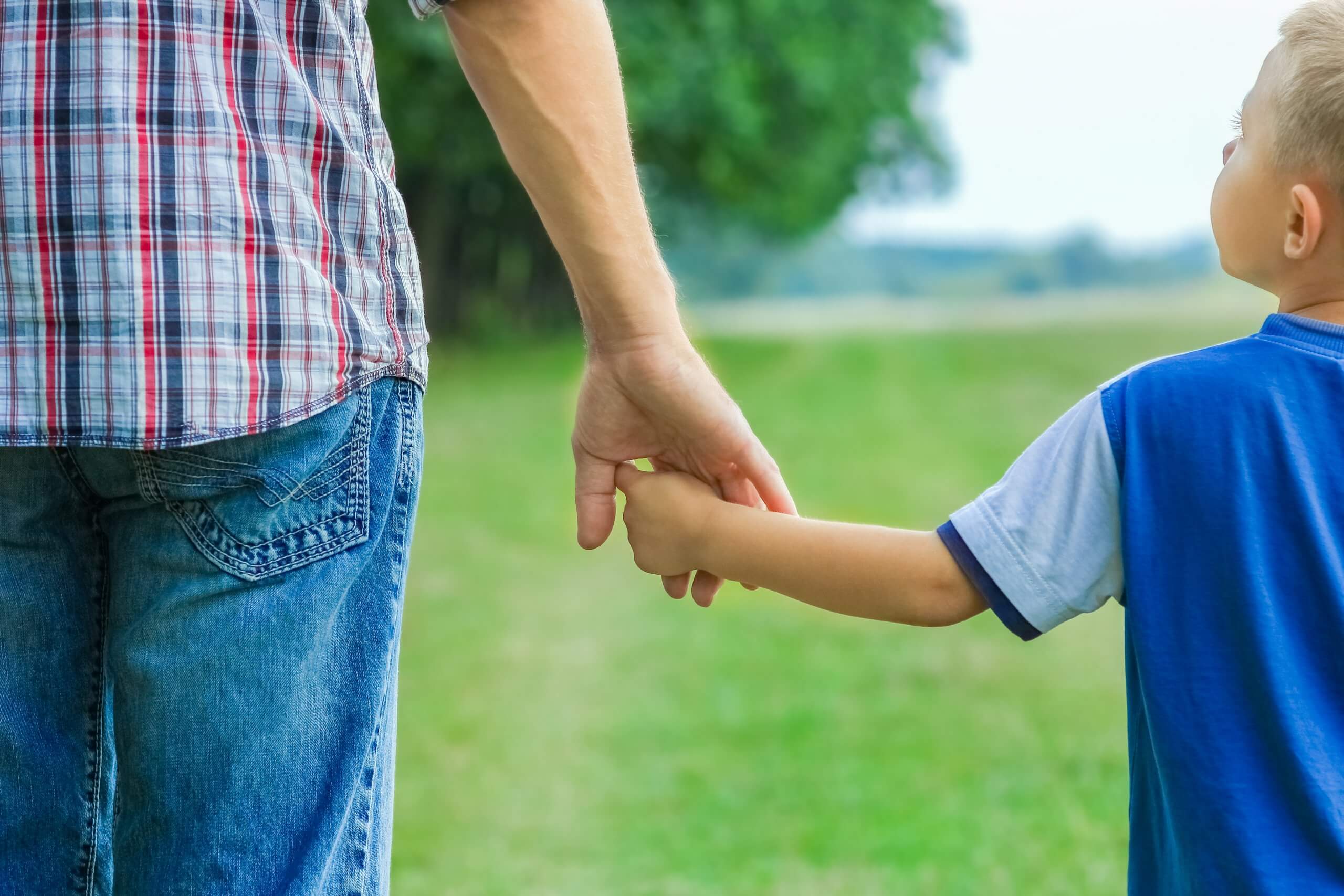 Beautiful Hands Of Parent And Child Outdoors In The Park