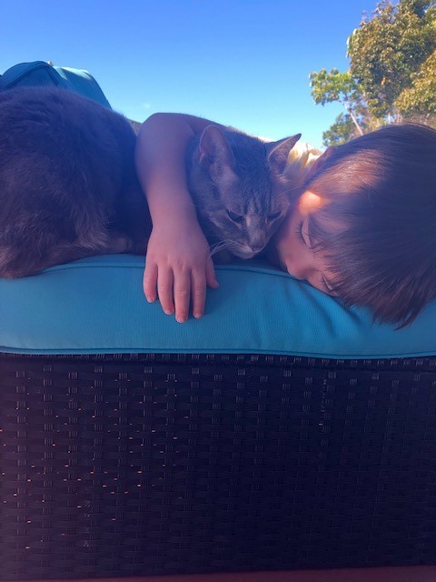 Celebrating Our Clients: Part 4