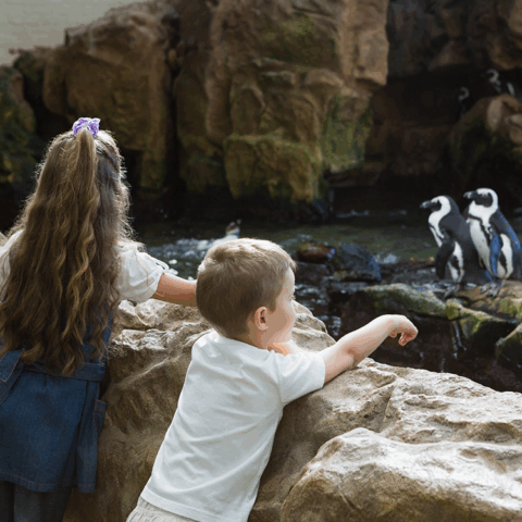 sensory friendly zoo in South Bend Indiana