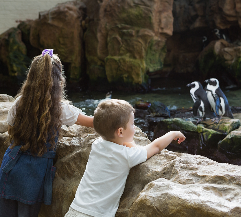 sensory friendly zoo in South Bend Indiana